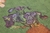 Papel de Parede - Van Gogh 3 - 5028490 na internet