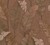 Papel de Parede - Metropolitan Stories 3 - 392181