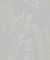 Papel de Parede - Jackie - 6819-20