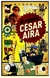 el mármol aira césar aira la bestia equilátera None