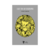 LUZ EN LO OSCURO. GLORIA E. ANZALDÚA