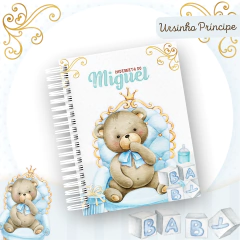 CADERNETA VACINAÇÃO - URSINHO PRINCIPE