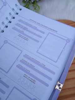 Imagem do PLANNER DORAMEIRA - Candy Lilás