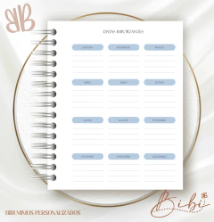 AUXILIAR DE JOVENS E MENORES - ALFABETO AZUL - loja online