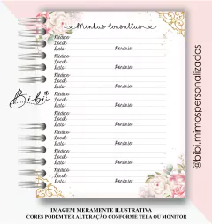 CADERNETA VACINAÇÃO - PRINCESAS - Bibi Mimos Personalizados