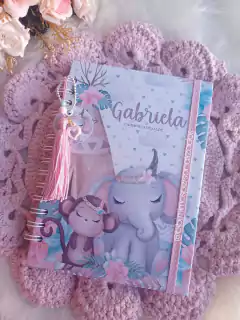 CADERNETA VACINAÇÃO - BOHO MENINA