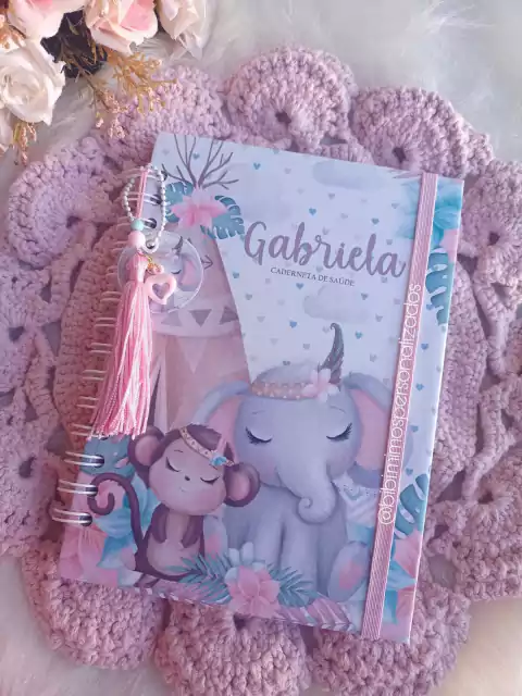 CADERNETA VACINAÇÃO - BOHO MENINA