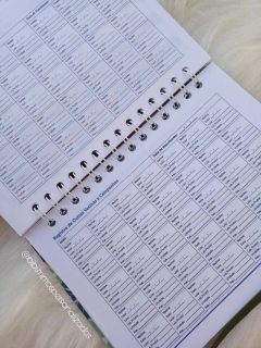 CADERNETA VACINAÇÃO - URSINHO PRINCIPE - Bibi Mimos Personalizados