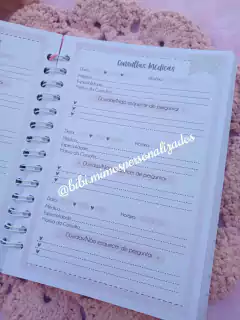 CADERNETA VACINAÇÃO - URSINHA BALÃO - Bibi Mimos Personalizados