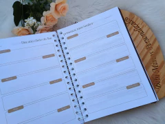 AGENDA CATÓLICA 2026 - ESPIRITO SANTO - comprar online