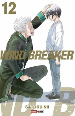 Wind Breaker 12