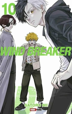 Wind Breaker 10