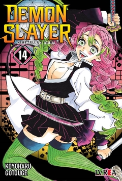 DEMON SLAYER: KIMETSU NO YAIBA 14