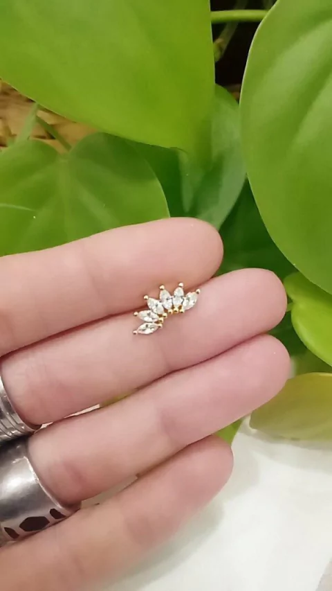 Aro Piercing Corona Grande Micropave A.D. (unidad)