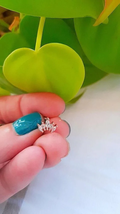 Aro Piercing Corona Micropave A.R. (unidad)