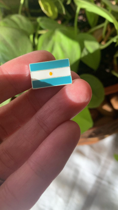 Escarapela Bandera Esmaltada