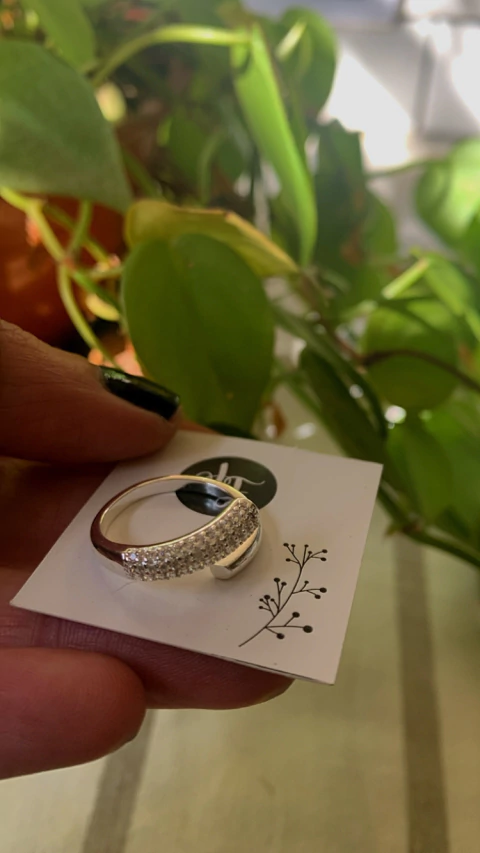 Anillo Semi Abierto Micropave Ancho 17 mm AB