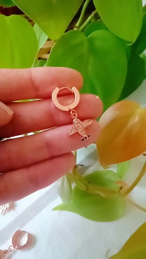 Argolla Cierre Cubano con Dije Avión Strass (unidad)