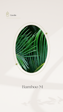 Essência Vela Bamboo M 100ml