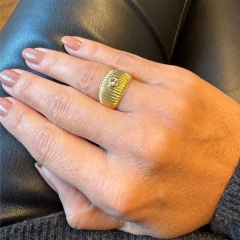 Anel Chevalié na internet