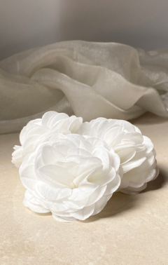 CAMELIA DIFUSORA X 3
