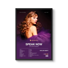 Quadro - Speak Now (Taylor's Version)