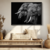 Elephants Portrait II