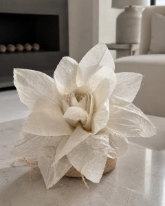 PROXIMAMENTE BOTANICALS en internet