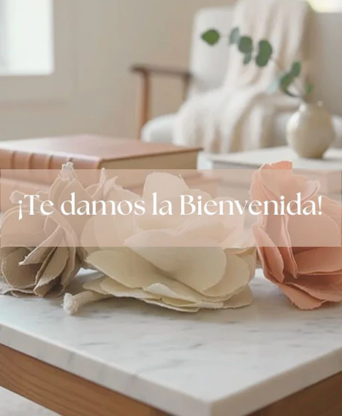 Carrusel Almacén de Cosillas