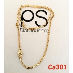 CA301