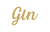 GIN 31 10CM