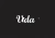 VIDA - loja online
