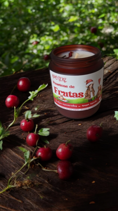 Vela Panetone de Frutas - 190g na internet