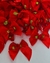 Aplique laço com florzinha de rococó vermelho – 20 unidades
