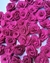 Flor de tecido rosa primavera – 5 unidades - KD E-commerce