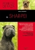SHAR-PEI, EL/PERROS DE RA