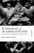 ENIGMA DE LA ACADEMIA DE PLATON, EL