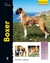 BOXER
