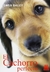 CACHORRO PERFECTO, EL
