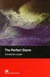 THE PERFECT STORM