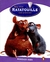 RATATOUILLE