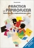 PRACTICA LA PAPIROFLEXIA - NUEVOS MODELOS Y EXPLICACIONES PASO A PASO - ORIGAMI
