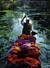 STEVE MCCURRY - LAS GRANDES FOTOGRAFIAS