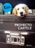 PROYECTO CARTELE
