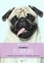 CARLINO