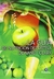 GUIA DE NUTRICION DEPORTIVA DE NANCY CLARK, LA