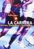 CARRERA, LA - POSTURA, BIOMECANICA Y RENDIMIENTO