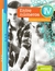@@ ENTRE NUMEROS IV - NOV.2018