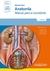 PROMETHEUS ANATOMIA MANUAL PARA EL ESTUDIANTE