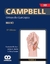 CAMPBELL ORTOPEDIA QUIRURGICA/13°ED. TOMO 8